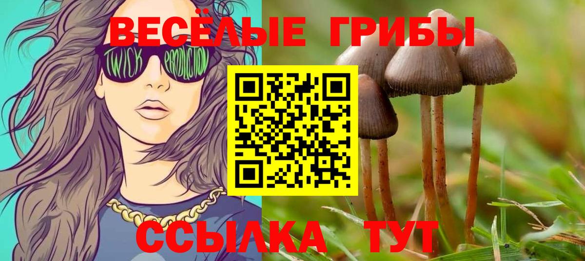 Галлюциногенные грибы Psilocybe  Вход с VPN  Галлюциногенные грибы GOLDEN TEACHER  Димитровград 